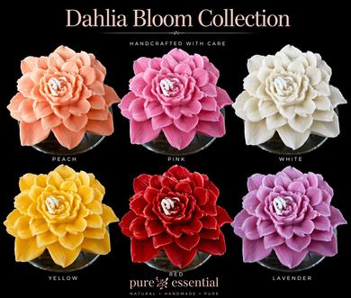 Dahlia Bloom Collection candles