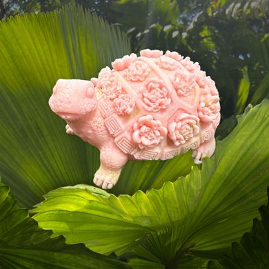 Turtle Soap
