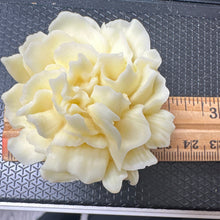 Silicone Mold CARNATION