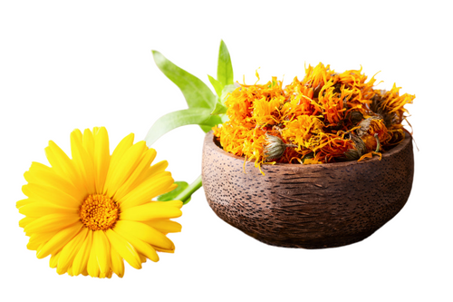 Calendula Petals & Flowers