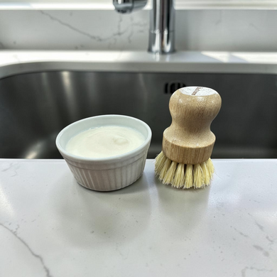 Solid Dish Soap with brush