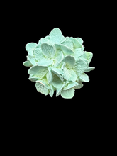 Hydrangea silicone mold