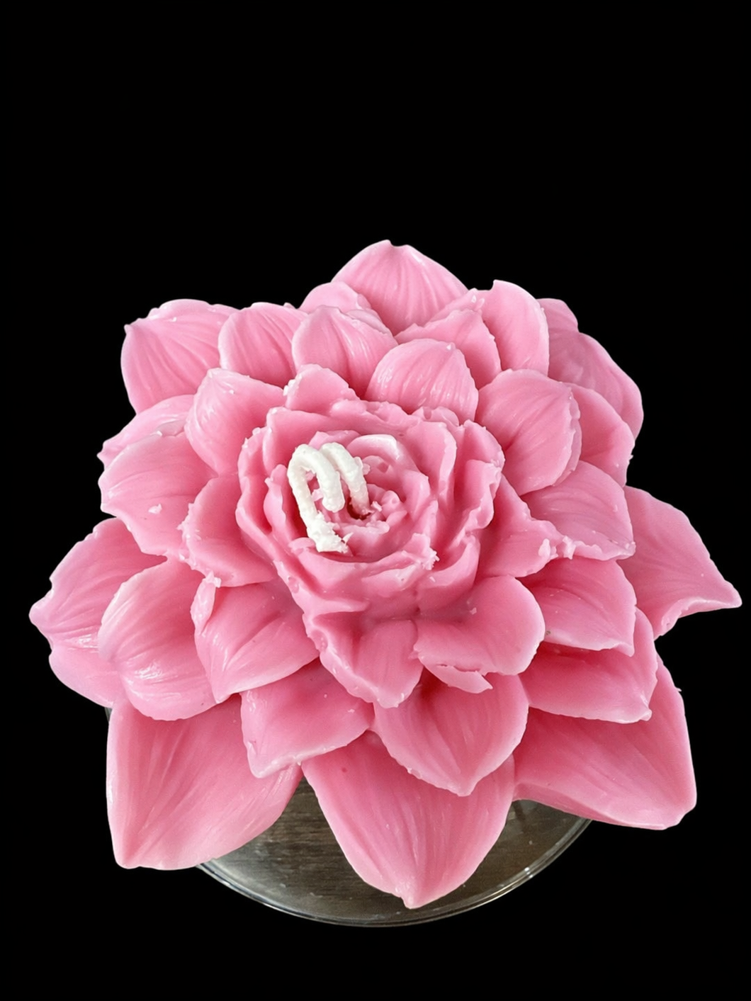 Dahlia Bloom Collection candles