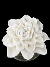 Dahlia Bloom Collection candles
