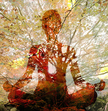 Stress Relief Essential oil Blend for Relaxation