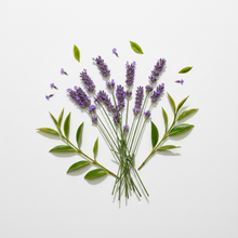 Natural Deodorant