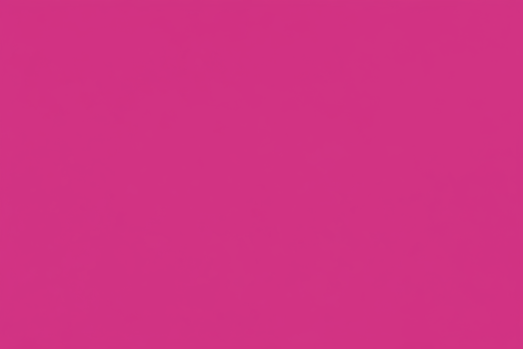 MAGENTA COLOR BLOCK