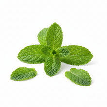 Spearmint Essential Oil
