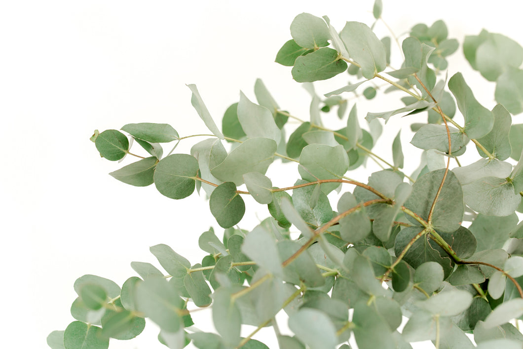 Eucalyptus Spearmint fragrance oil